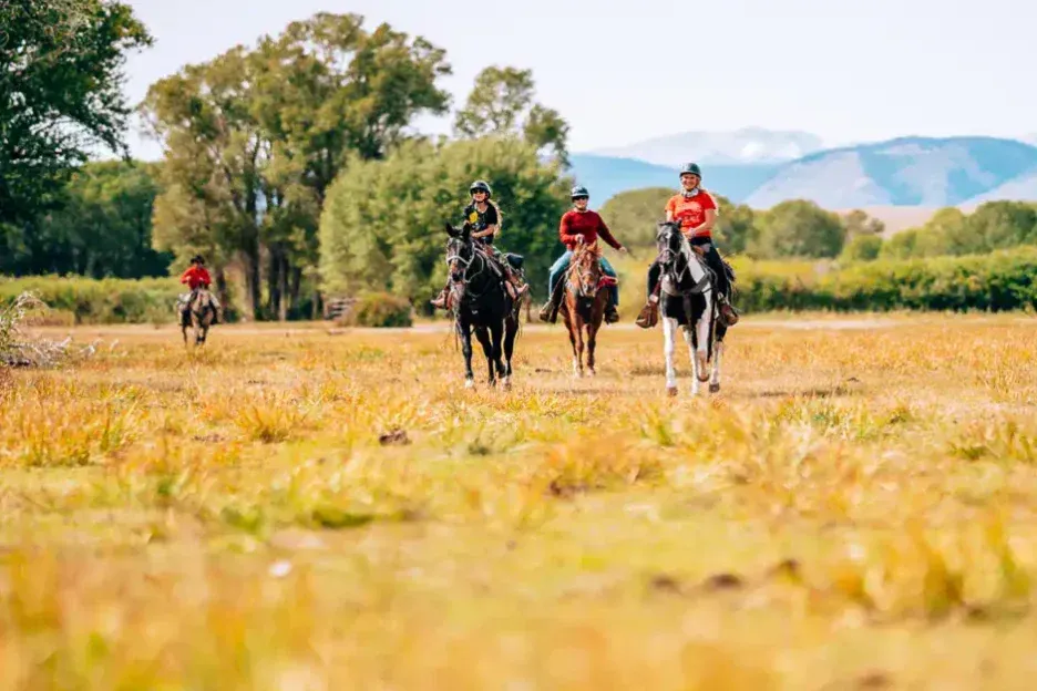 Riders crossing the pasture in golden light