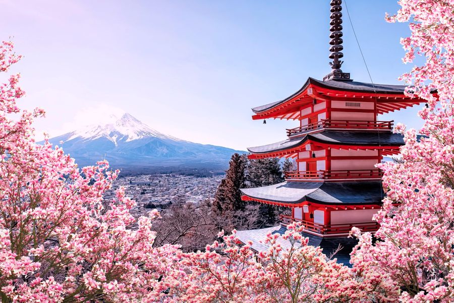Cherry Blossoms Japan Retreat