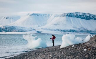 {{brizy_dc_image_alt entityId=