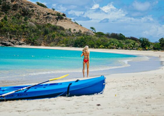 {{brizy_dc_image_alt entityId=