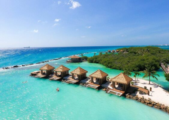 {{brizy_dc_image_alt entityId=