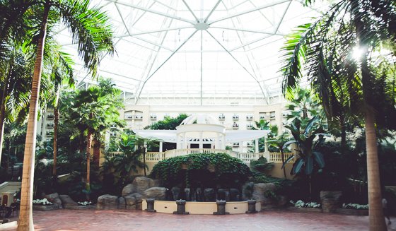 Celebrating The Holidays With Gaylord Palms Orlando