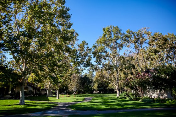 Rustic Elegance For Families: The Alisal Guest Ranch Resort Rustic Elegance For Families: The Alisal Guest Ranch Resort