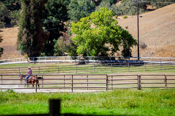 Rustic Elegance For Families: The Alisal Guest Ranch Resort Rustic Elegance For Families: The Alisal Guest Ranch Resort