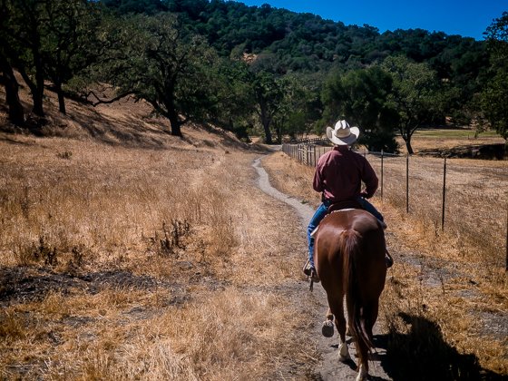 Rustic Elegance For Families: The Alisal Guest Ranch Resort Rustic Elegance For Families: The Alisal Guest Ranch Resort