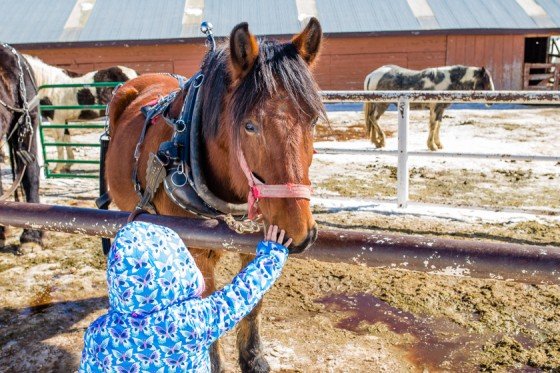 Family Fun Weekend Guide To Winter Park, Colorado