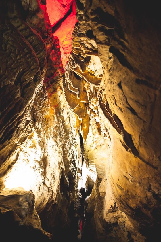 10 Reasons To Visit Chattanooga With Your Family This Spring 10 Reasons To Visit Chattanooga With Your Family This Spring