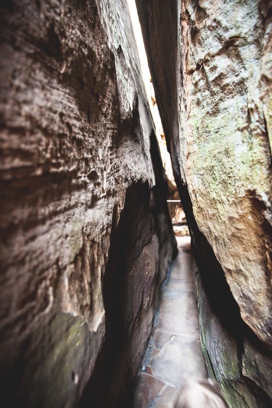 10 Reasons To Visit Chattanooga With Your Family This Spring 10 Reasons To Visit Chattanooga With Your Family This Spring