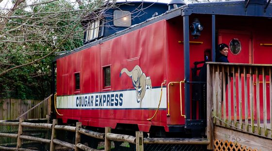 10 Reasons To Visit Chattanooga With Your Family This Spring 10 Reasons To Visit Chattanooga With Your Family This Spring