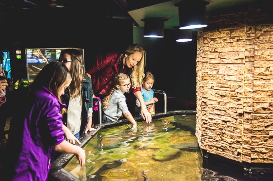 10 Reasons To Visit Chattanooga With Your Family This Spring 10 Reasons To Visit Chattanooga With Your Family This Spring