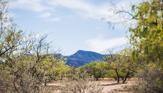5 Days In Southwestern Arizona