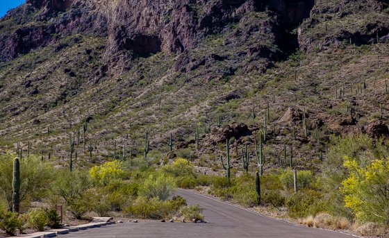 5 Days In Southwestern Arizona
