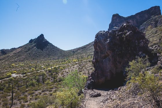 5 Days In Southwestern Arizona