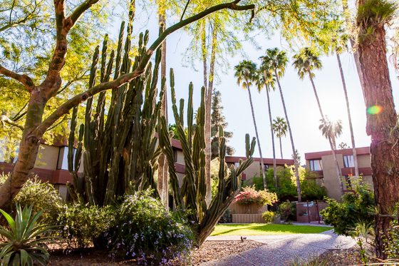 5 Days In Southwestern Arizona