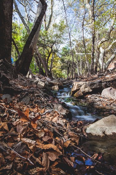 5 Days In Southwestern Arizona