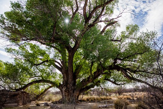 5 Days In Southwestern Arizona