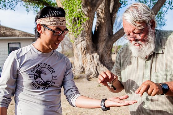 5 Days In Southwestern Arizona