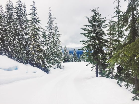 The Romantic Guide To Whistler For Couples