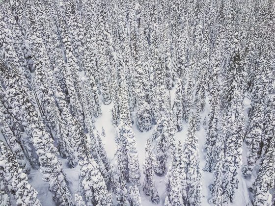 The Romantic Guide To Whistler For Couples