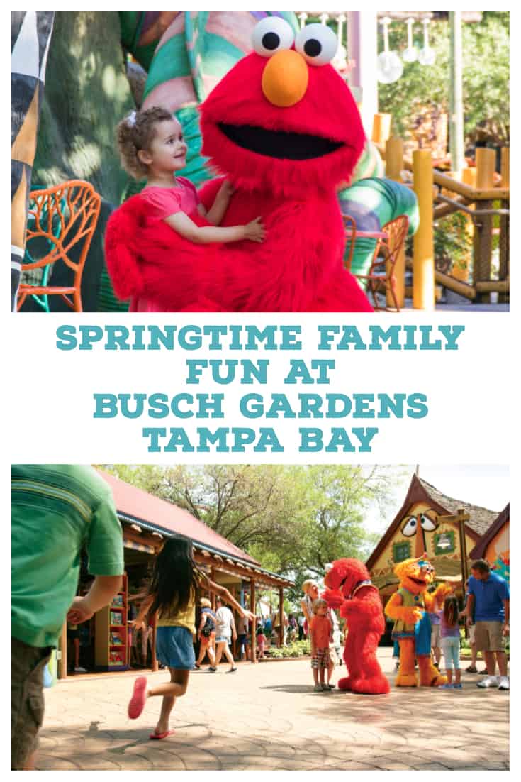 Springtime Family Fun At Busch Gardens Tampa Bay Springtime Family Fun At Busch Gardens Tampa Bay
