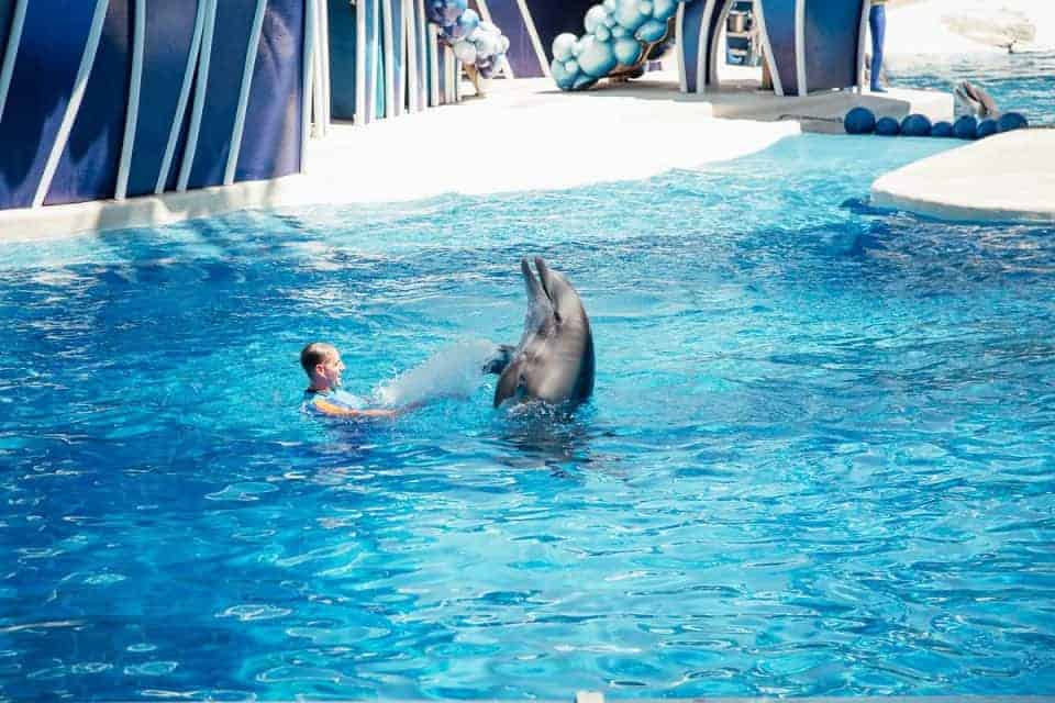 Seaworld Orlando Theme Park Of X