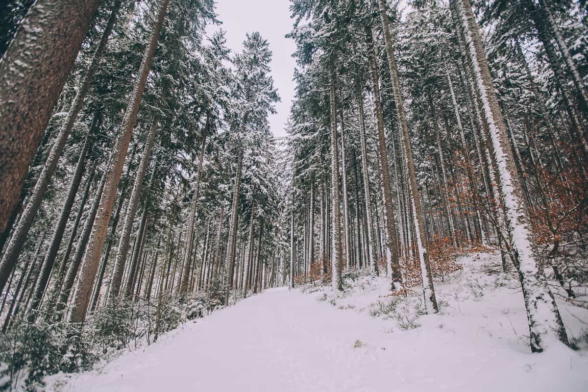 15 Photos That Will Make You Want To Visit Southwest Germany Now