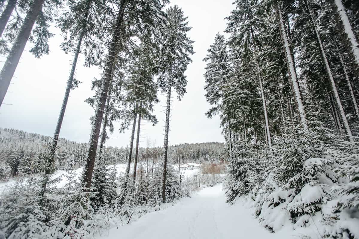 15 Photos Of German Winter To Help You Get Into The Christmas Spirit