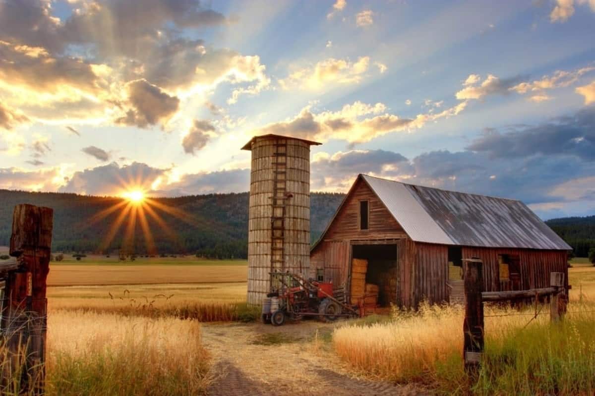 5 Agritourism Experiences To Consider For Your Next Vacation