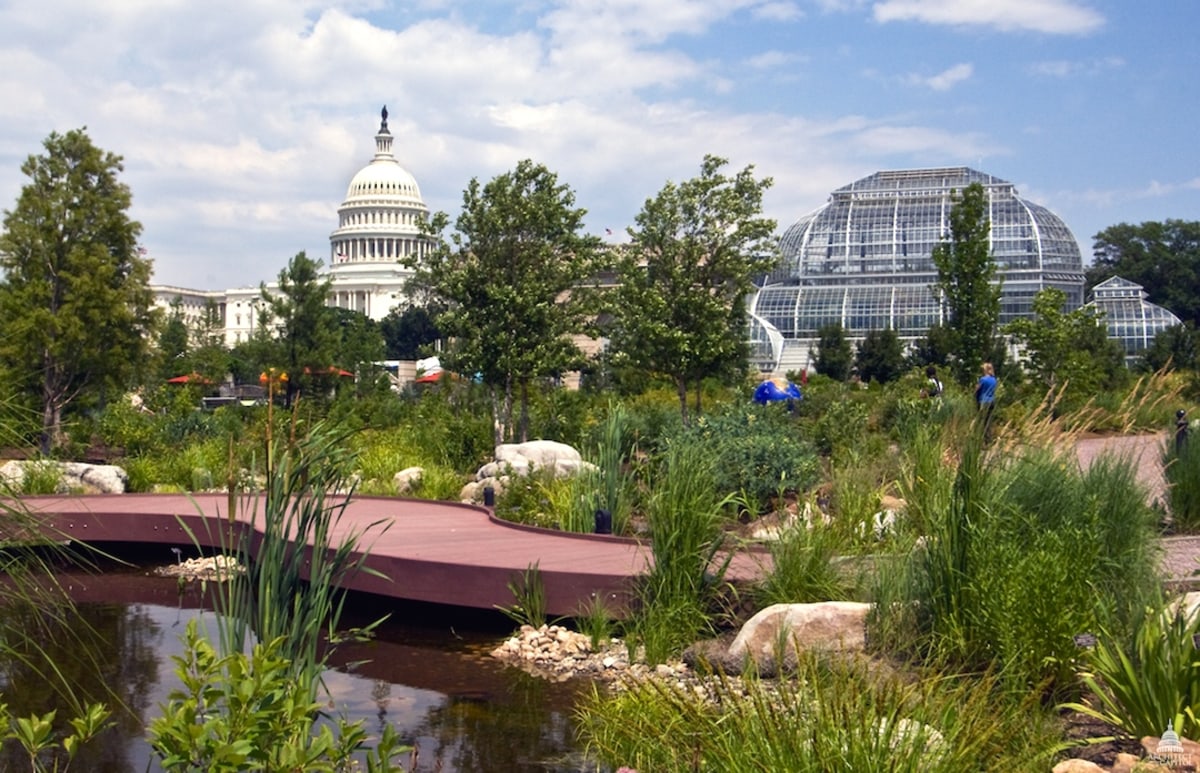 every avenue travel Washington Dc With Kids