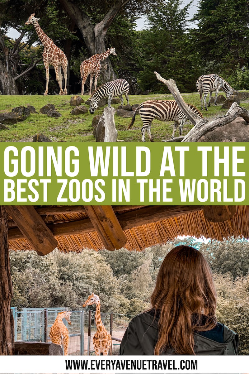 every-avenue-travel-Best zoos in the world