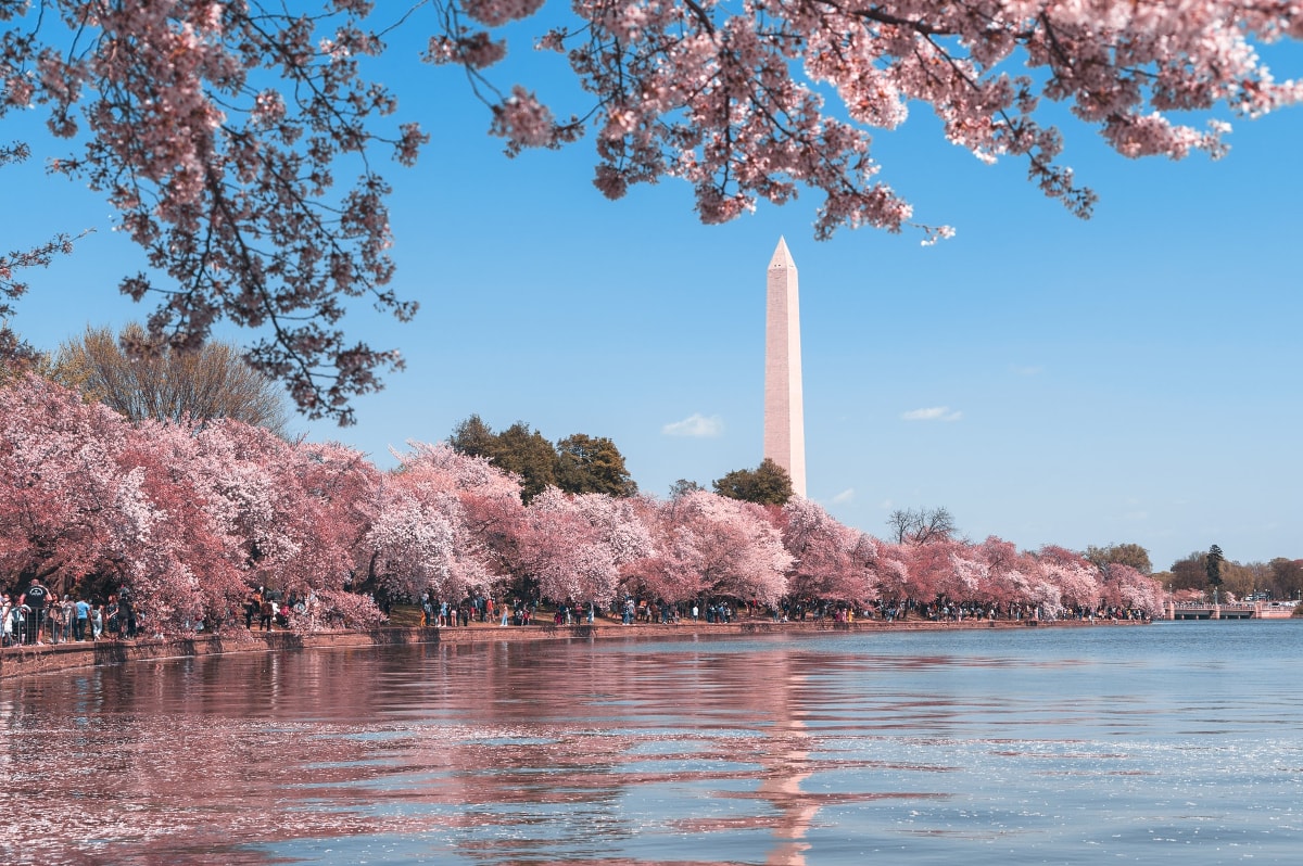 every avenue travel spring break ideas for families
