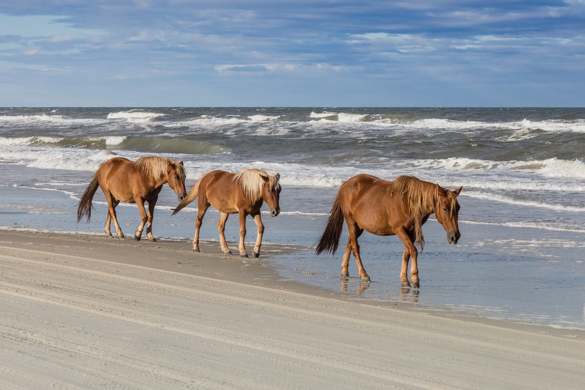 every avenue travel spring break ideas for families