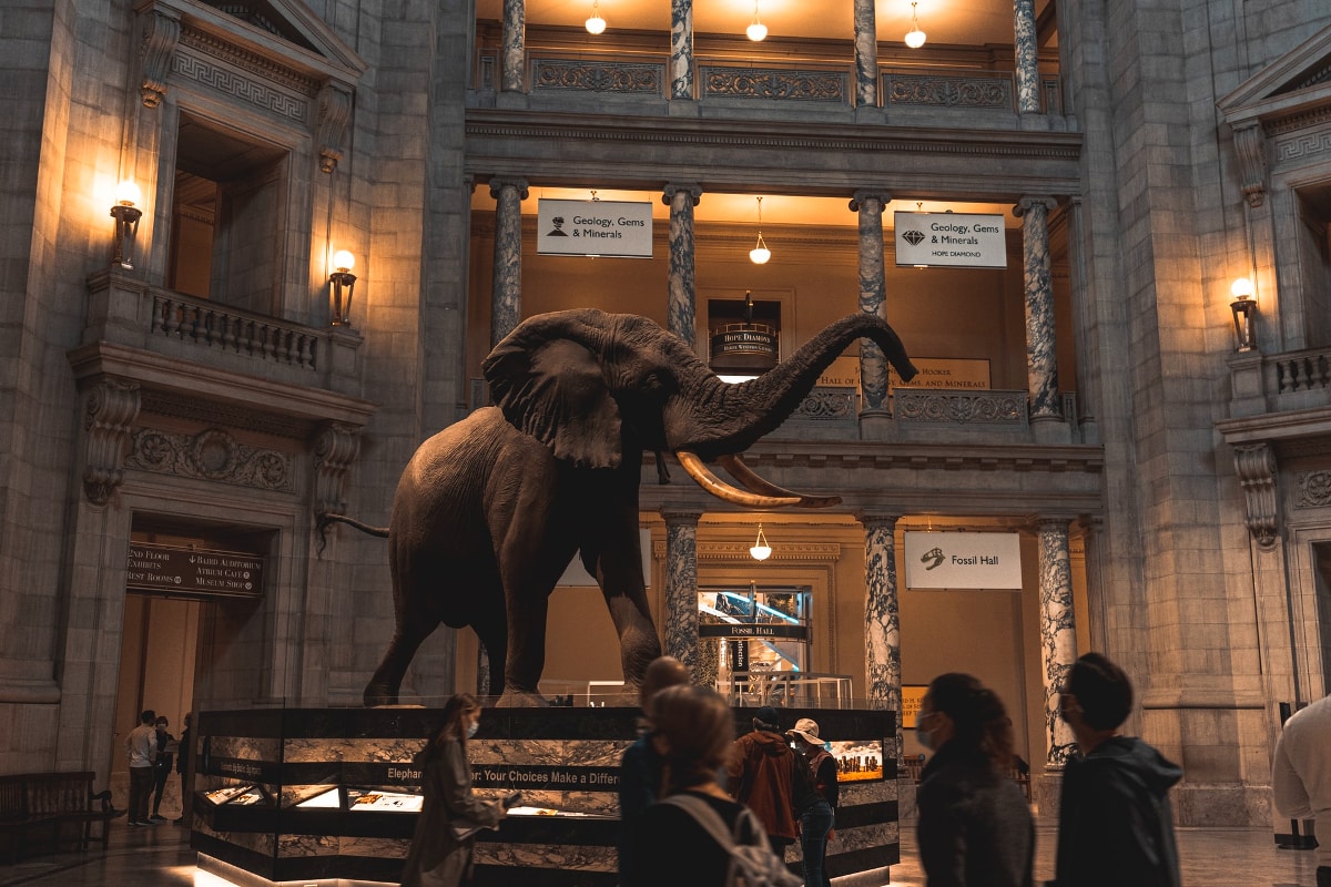 every avenue travel spring break ideas for families