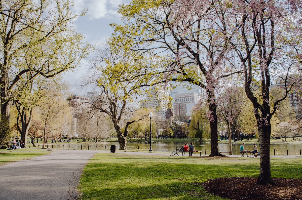 every avenue travel spring break ideas for families