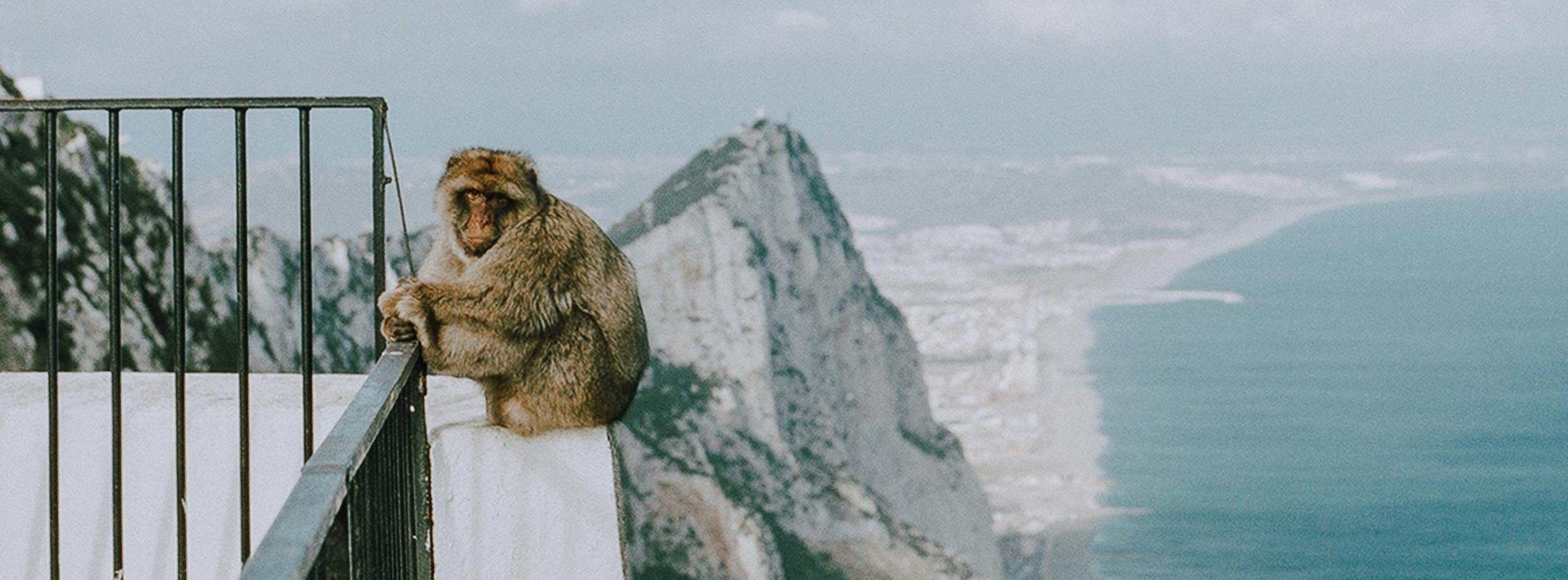 Skywalk, Cave & Macaques Private Tour