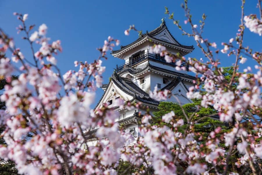Castle, Market & Garden Discovery