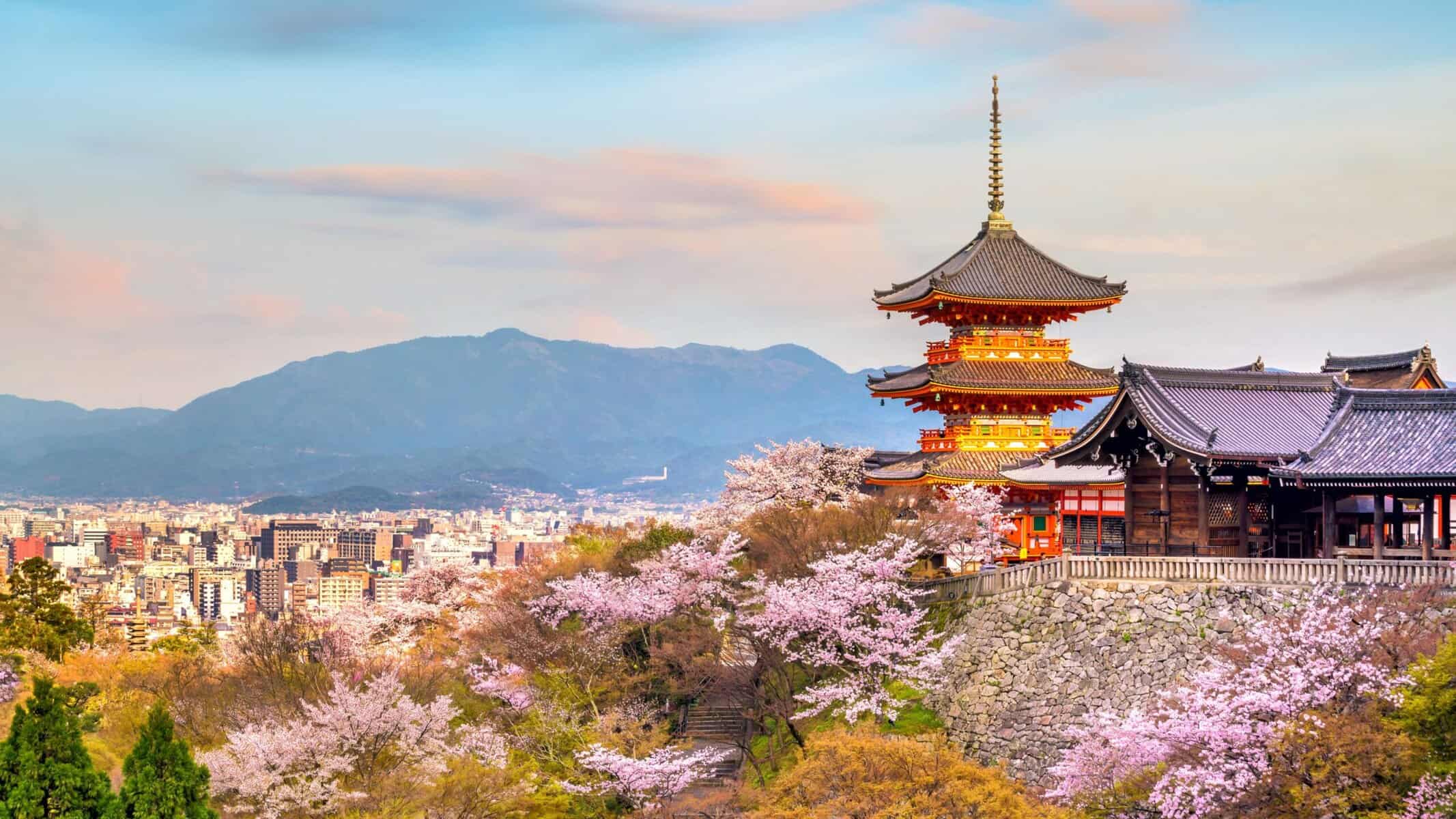 Ultimate Nara & Kyoto Tour