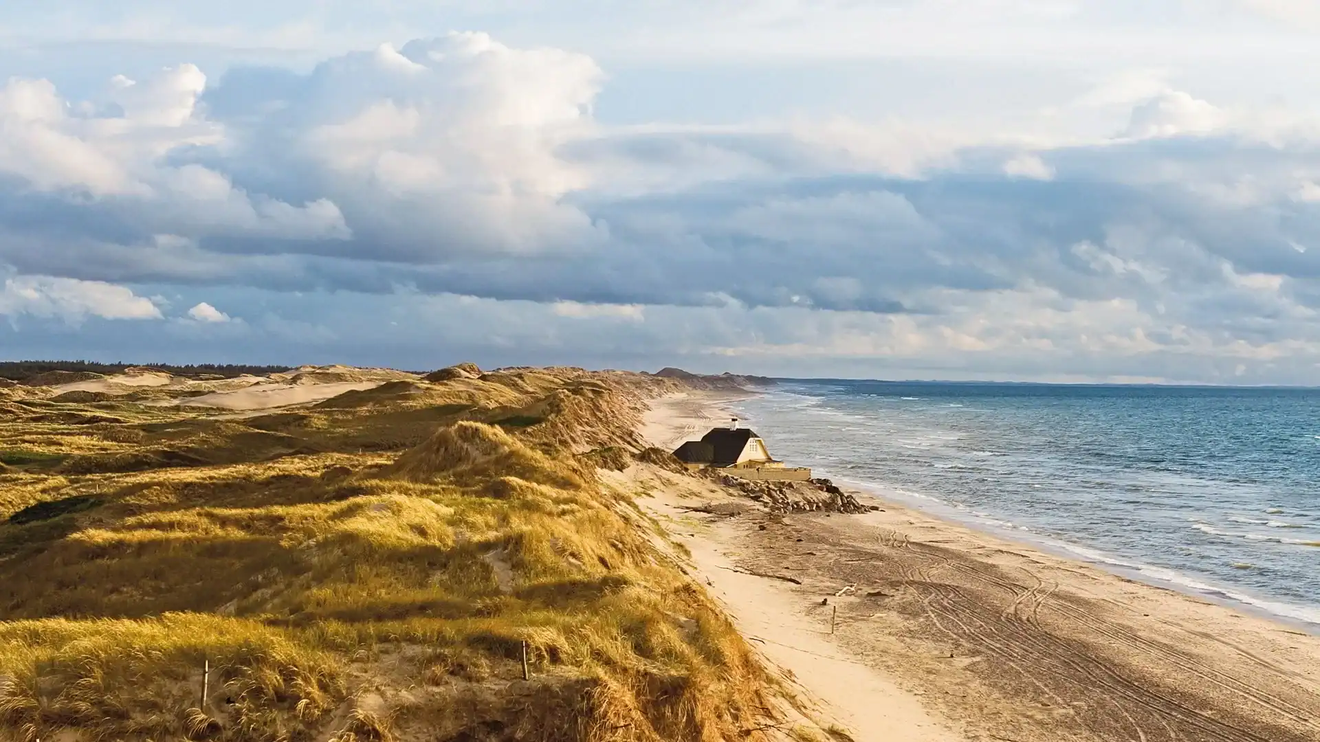 Nature, History & Coastal Highlights Tour