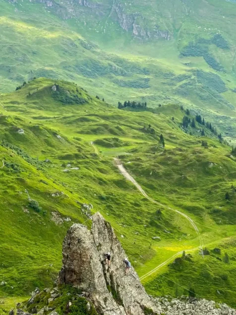 {{brizy_dc_image_alt imageSrc=