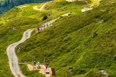 {{brizy_dc_image_alt imageSrc=