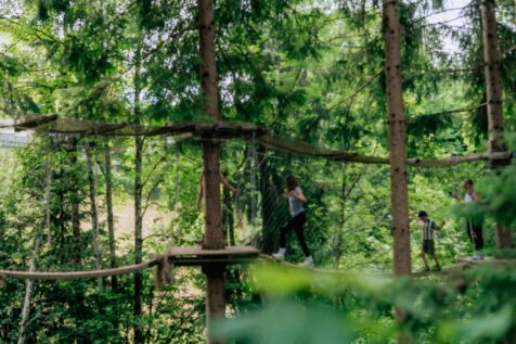 {{brizy_dc_image_alt imageSrc=