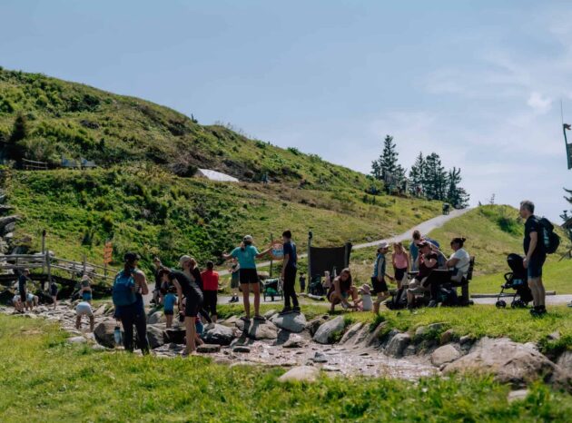 {{brizy_dc_image_alt imageSrc=