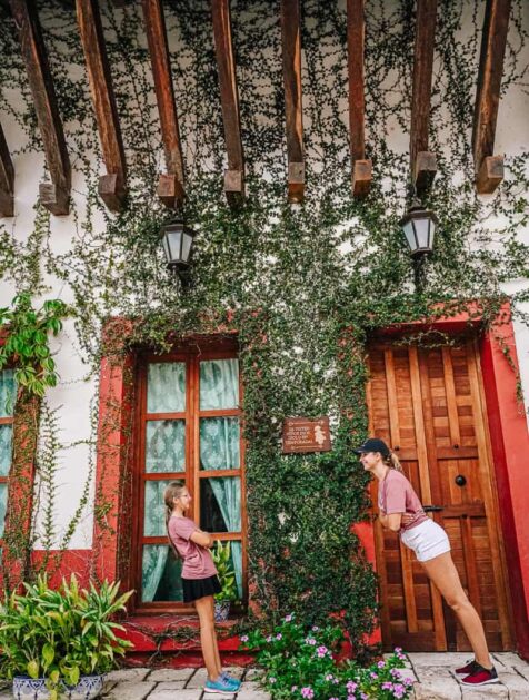 {{brizy_dc_image_alt imageSrc=