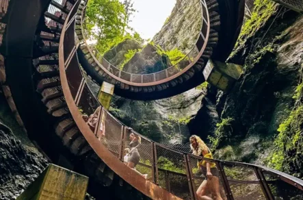 {{brizy_dc_image_alt imageSrc=