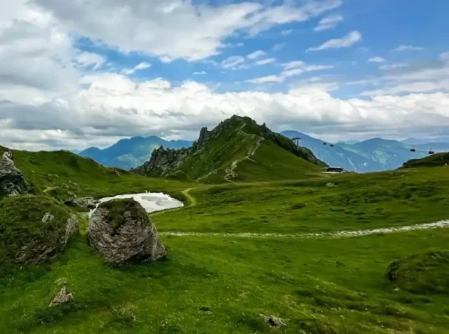 {{brizy_dc_image_alt imageSrc=