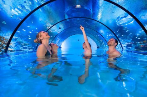 alpentherme-montequarium-(C)AlpenthermeGastein-Marktl Photography2~-~media--9a2dd926--query@2x.1586fe7c