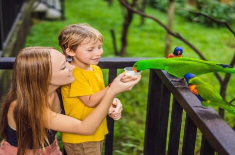 {{brizy_dc_image_alt imageSrc=