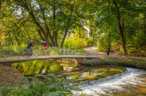 {{brizy_dc_image_alt imageSrc=