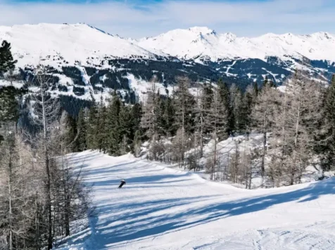 {{brizy_dc_image_alt imageSrc=