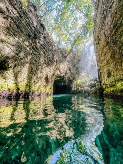 {{brizy_dc_image_alt imageSrc=